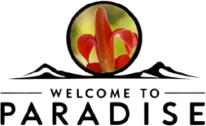 logo-paradise
